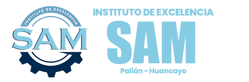 Aula Virtual SAM